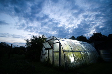 Beautiful evening view of cloudy sky and strobe light green house of tomatoe plants.