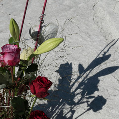 In the front details of a bunch of flowers and shadows of the bouquet on a stone in the background.