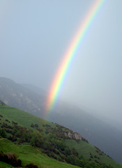 Rainbow 