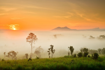 Misty morning sunrise at Thung Salaeng Luang National Park, Phetchabon, Thailand. Beautiful landscape of foggy sunrise in grassland savannah. Thung Salaeng Luang is grassland savannah in Thailand. 