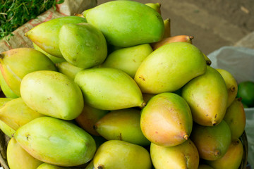 Fresh Green Mango Close Up