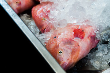 raw Ruby fish on banana leaf and ice in Thailand market ,seafood background ,seafood market ,raw food
