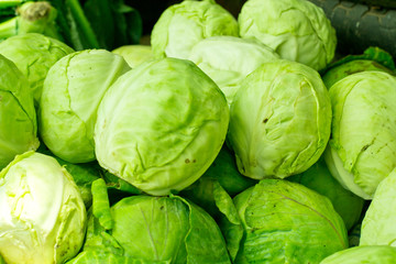 Fototapeta premium Fresh Cabbage Vegetables in the Market 