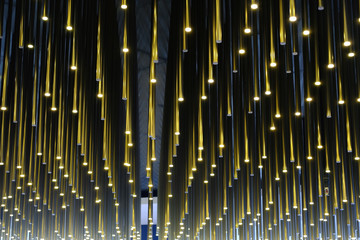 The beautiful line of light