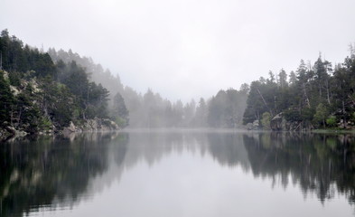 reflection of trees in lake