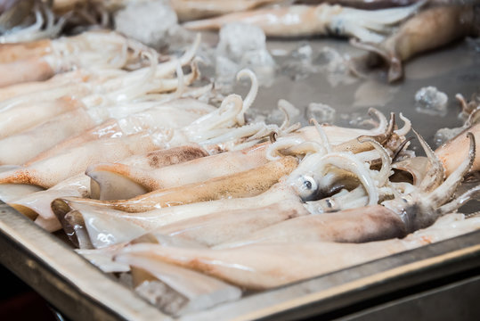Splendid Squid (Loligo duvauceli), fresh seafood market in Thailand,seafood background