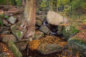 Waterfall Kaskady Myi in autumn in Sudety mountains, Przesieka, Poland © Artur Bociarski
