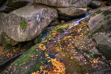Waterfall Kaskady Myi in autumn in Sudety mountains, Przesieka, Poland © Artur Bociarski