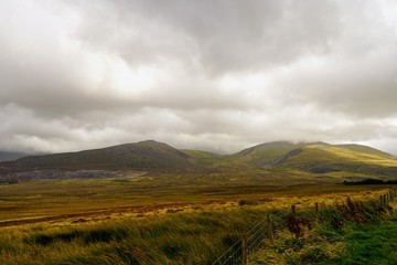 Fototapeta premium Beautiful Highland Pasture in Wales