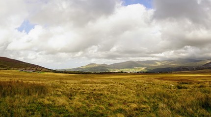 Fototapeta na wymiar Beautiful Highland Pasture in Wales