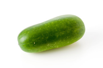 冬瓜