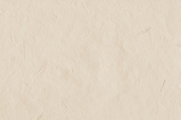 Empty vintage paper texture. Craft and old look.