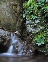 waterfall in the forest