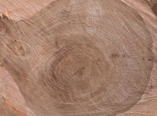 texture and structure of sawn wood wooden background,tree cross section