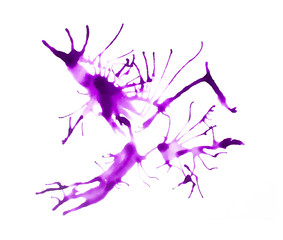  Purple paint splatter isolated on white background