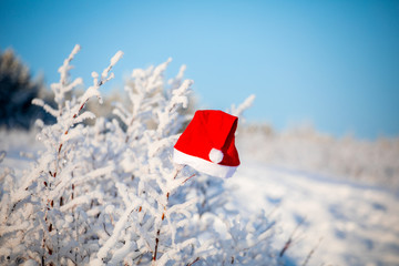 Christmas background with red hat and white branches of a Christmas tree