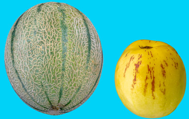 Birnenund Zuckermelone auf hellblauen Hintergrund