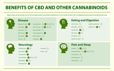 Benefits of CBD and Other Cannabinoids horizontal infographic illustration about cannabis as herbal alternative medicine and chemical therapy, healthcare and medical science vector.