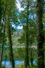 Minnehaha Walk￨nature study trial￨Te Wahipounamu￨The Place of Green Stone￨World Heritage in South West New Zealand