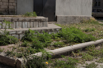 weeds grow on a flowerbed and a doorstep in front of a brick and concrete building with a black...