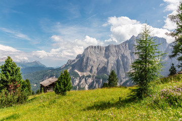 Fototapeta na wymiar Beautiful landscape with alpine meadow on a background of Italian Dolomites mountains. Italian Alps, Corvara in Badia.