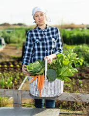 Joyful young woman harvesting vegetables in a basket