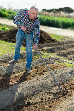 Farmer spreads rake garden beds
