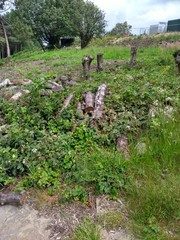 Stone and grass landscape