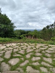 view