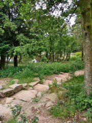 Stone path and steps