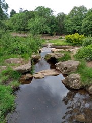 Running water stream