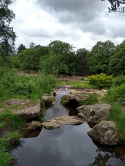 Running water strem