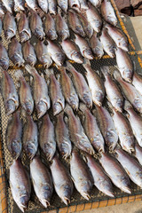 Dried fish for drying in coastal village on net, it is preserving fish with salt for cooking food.