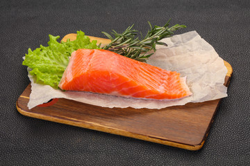 Piece of raw salmon