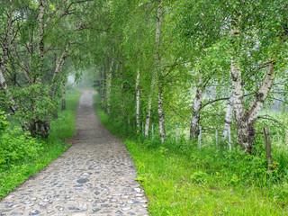 Obraz premium View of Hiking Trail to Monte San Primo