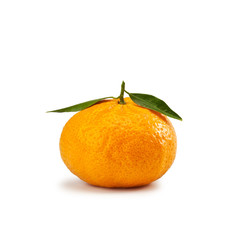 Mandarin orange - Mandarino - Citrus reticulata isolated