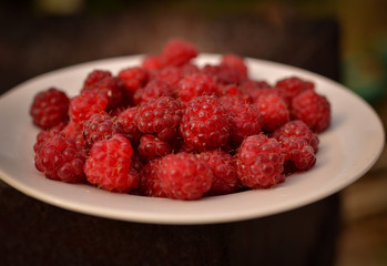 Raspberry berries lie on a wooden bench in the summer garden. Photo taken outdoors and in warm colors. Harvesting raspberries on a farm.