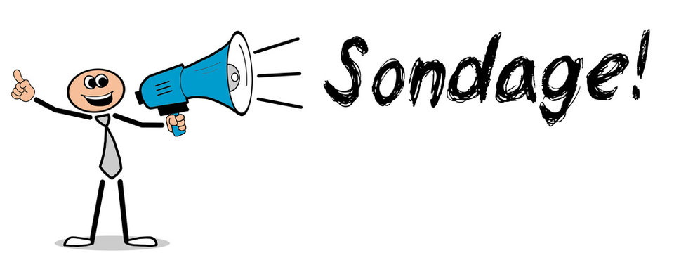 1 8 Best Sondage Images Stock Photos Vectors Adobe Stock