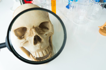 Human skull on white wood table with Magnifying glass