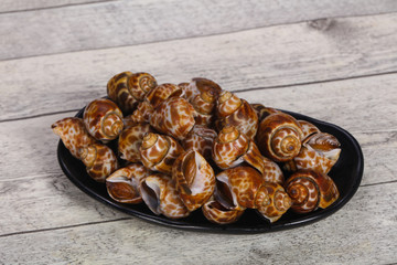 Tasty mollusk - spotted Babylon in the bowl