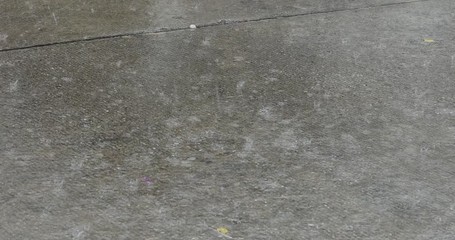 Rain on cement roads, heavy rains, storm winds, rain drops, country nature