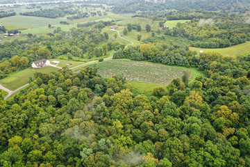 Fototapeta premium Hemp Farm Aerial Image