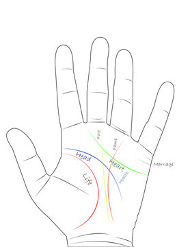 Basic lines with couple lines in palmistry on white background