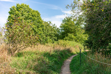 Fototapeta premium Trail at the Montrose Point Bird Sanctuary in Uptown Chicago
