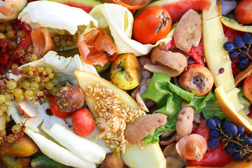 Different trash. Garbage sorting. Domestic waste for compost from fruits and vegetables.
