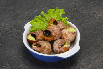 French cuisine - Escargot with sauce