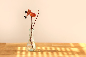 autumn still life on the table with a beautiful light, a glass bottle and a branch