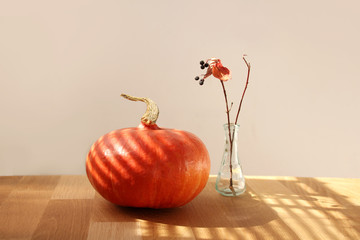 Autumn still life on a table with a beautiful light, a glass bottle, a branch and a pumpkin