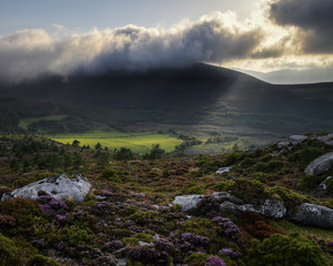 Meadow illuminated by a Sunray filtered through the Clouds