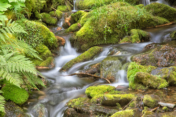 Original photograph of a soft flowing water fall through green mossy rocks